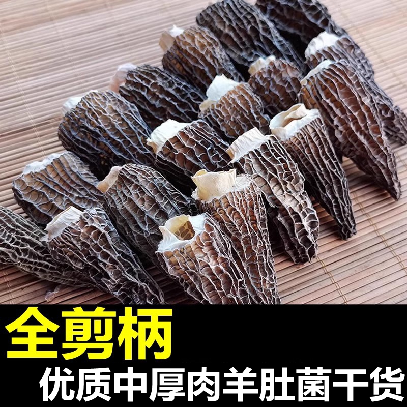 全剪柄云南特羊肚菌干货优质中厚