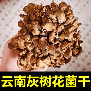 云南特产级灰树花菌子蘑菇类干货