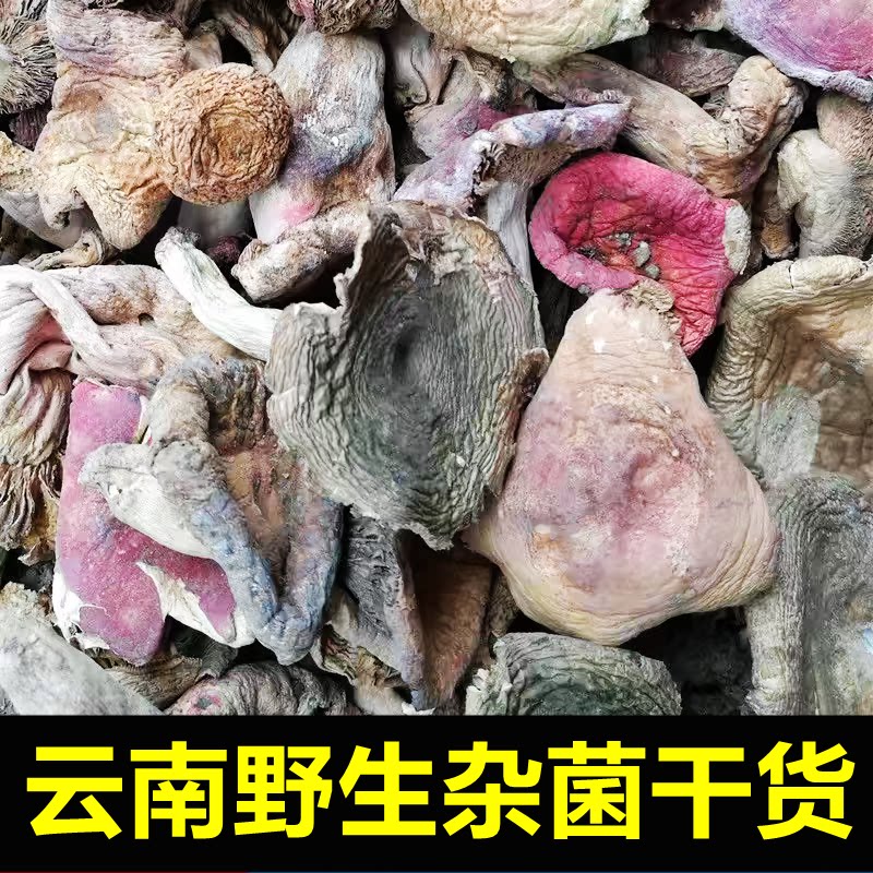 云南野生杂菌子干货食用蘑菇类商用批发多种混合红菇奶浆菌青头菌