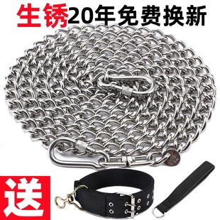 304不锈钢狗链子大型犬中型犬小型犬铁链项圈狗绳防咬全套栓狗链