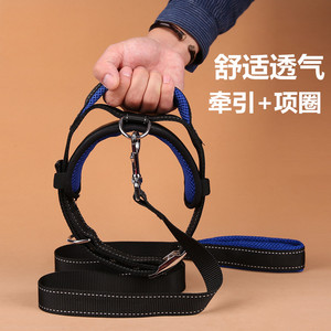 项圈狗狗牵引绳泰迪金毛狗绳子狗链子德牧中型大型犬项圈宠物用品