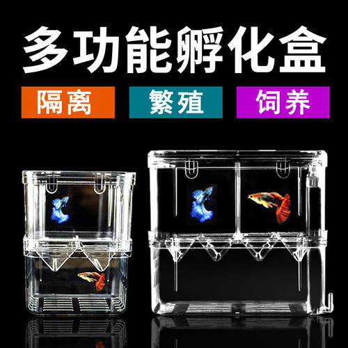 孵化器孔雀鱼繁殖隔离盒产卵