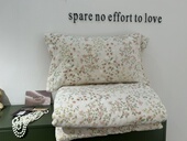 冬季 加厚保暖牛奶绒四件套裸睡亲肤小碎花被套床单喵喵绒床上用品