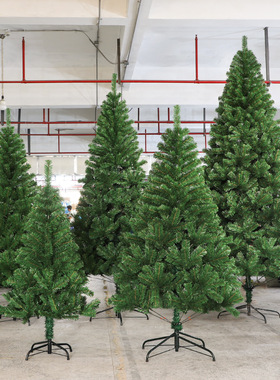 Christmas tree encryption friendlyPVC Christmas decoration