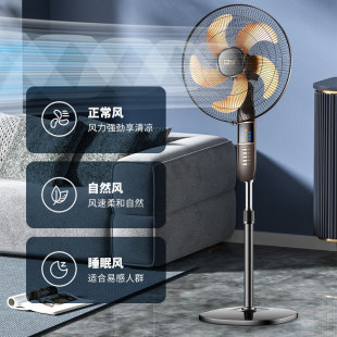 Home-use remote-controlled floor fan电风扇落地扇家用宿舍遥控