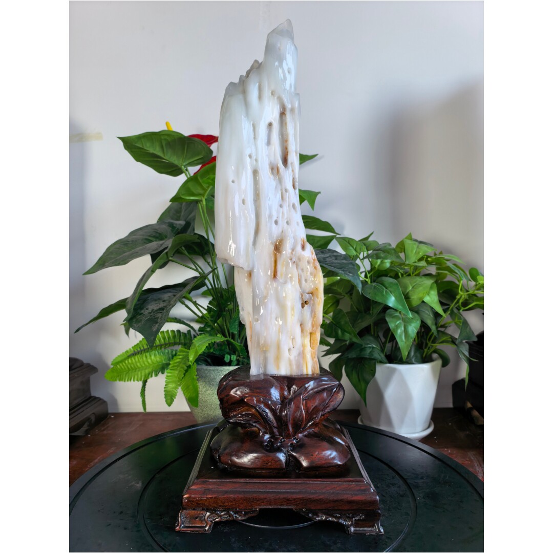 天然白色石头缅甸树化玉原石木化玉石客厅风水摆件招财柱居家装饰