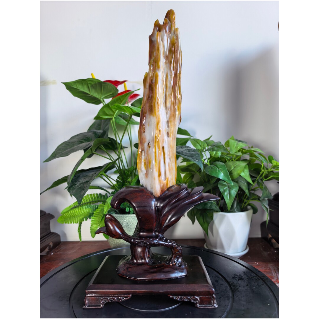 天然木化石原石树化玉冰种木化玉桌面观赏石客厅奇石收藏石头摆件
