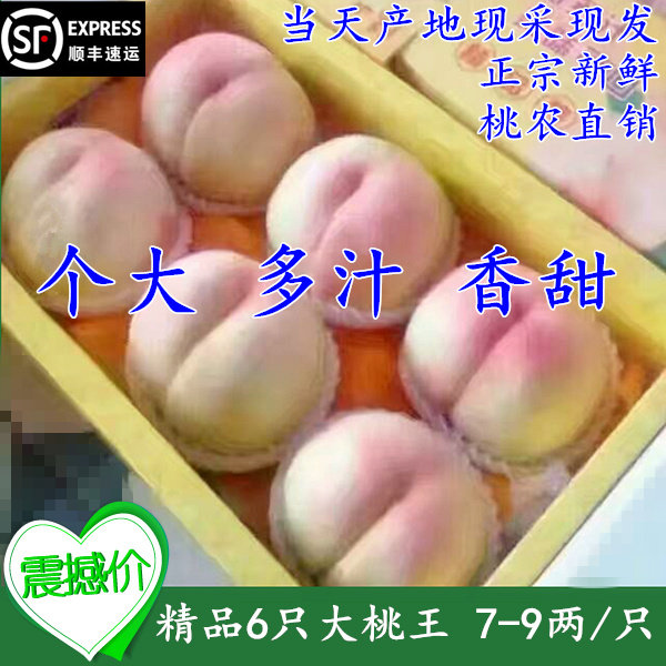 正宗无锡阳山水蜜桃6只精品礼盒大桃王7-8两多汁白凤当季水果湖景