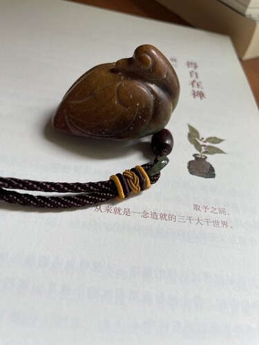岫玉籽料河磨玉独籽红皮原石鹅如意