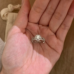 小红书爆款邂逅香榭复古钻戒戒指轻奢风精致百搭款高级感一件代发