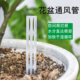 盆土通风管园艺绿植通风器透气防烂根沥水孔爆根生根控根懒人浇水