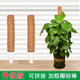大叶绿萝拼接柱椰棕棒龟背竹支撑杆棕榈植物支撑固定架加粗可拼接