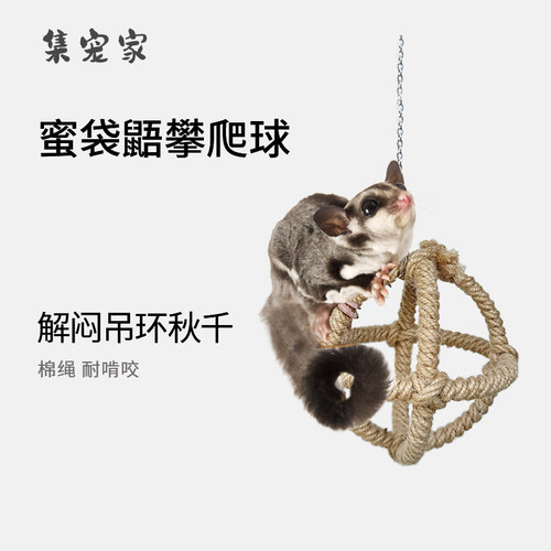 蜜袋鼯玩具攀爬球解闷吊环秋千