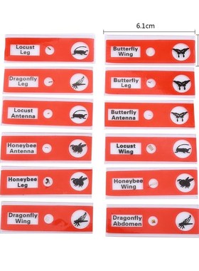 Wholesale 12pcs/Set Plastic Prepared Microscope Slides Anima