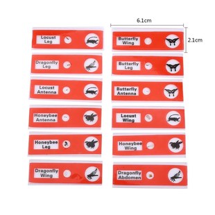 Wholesale 12pcs/Set Plastic Prepared Microscope Slides Anima