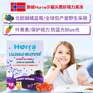 挪威Hurra儿童宝宝蓝莓花青素北欧越橘叶黄素软糖果冻叶黄素护眼