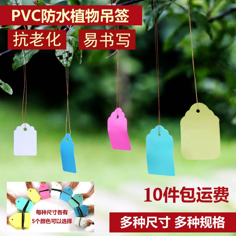 100张pvc彩色塑料植物吊签小挂牌图片