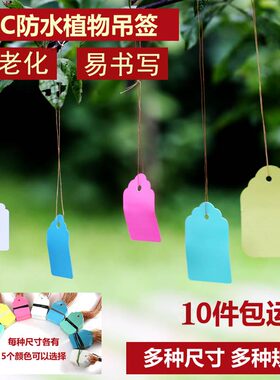 100张pvc彩色塑料植物吊签小挂牌