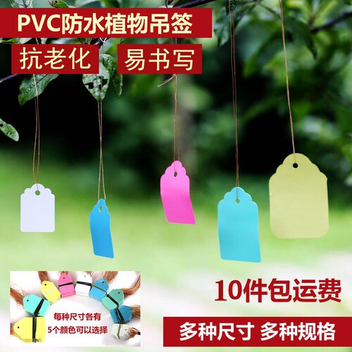 100张pvc彩色塑料植物吊签小挂牌