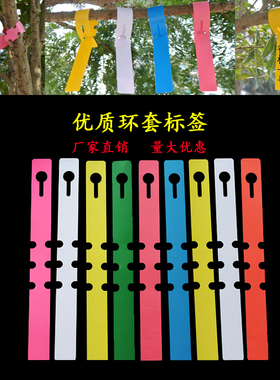 PVC防水环套花卉植物标签苗木园艺标签塑料兰花标签环形扣标记牌