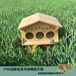 室外全实木鸽子窝带门超大防风防雨防腐孵化繁殖巢箱木屋支持定制