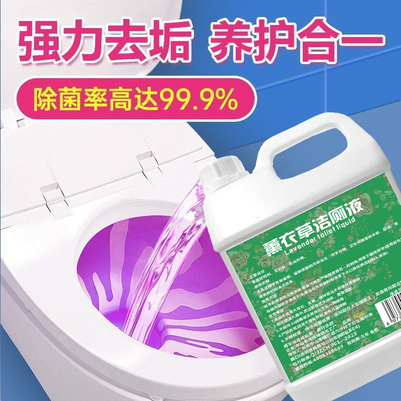 薰衣草洁厕液卫生间马桶瓷砖去黄去垢强力清洁持久清香浓缩款草酸