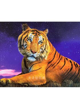 虎年生肖DIY方钻满钻钻石画砖石绣星空下的老虎全贴钻印花十字绣