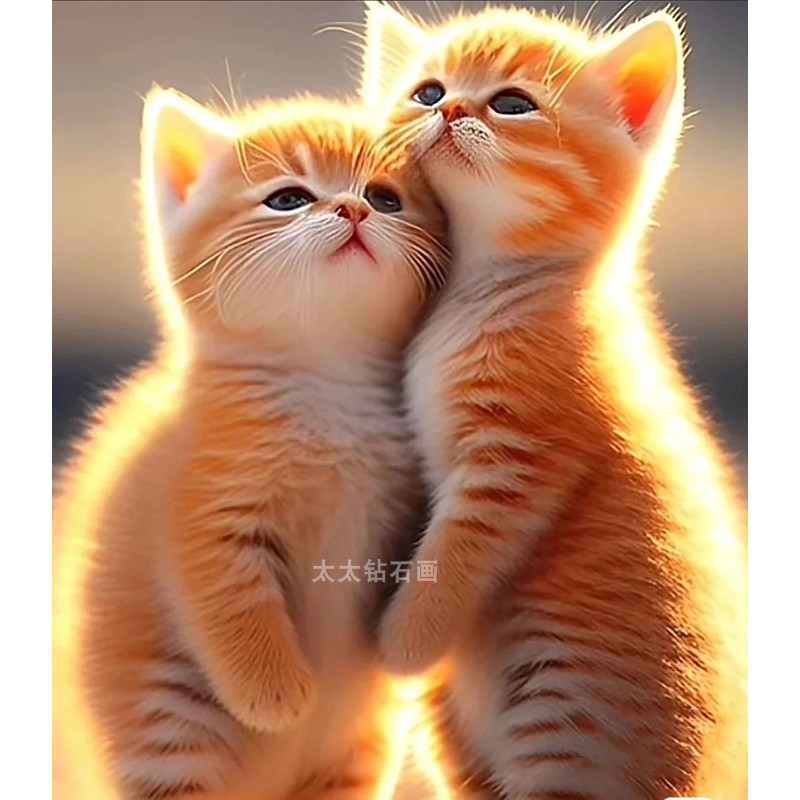 diy方钻满钻钻石画钻石绣两只可爱的猫咪手工贴钻十字绣带钻套件