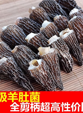 云南干菌子羊肚菌干货500克散装小号小个头全剪柄剪脚头羊肚蘑菇