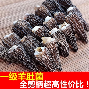 云南干菌子羊肚菌干货500克散装 小号小个头全剪柄剪脚头羊肚蘑菇