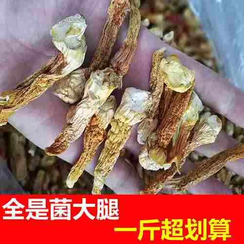 一斤超值云南姬松茸蘑菇脚柄干货