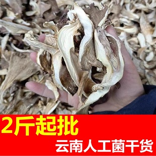 云南人工菌干货批发油炸食用菌类干真姬菇条丝黑白灰北风菌小香菇