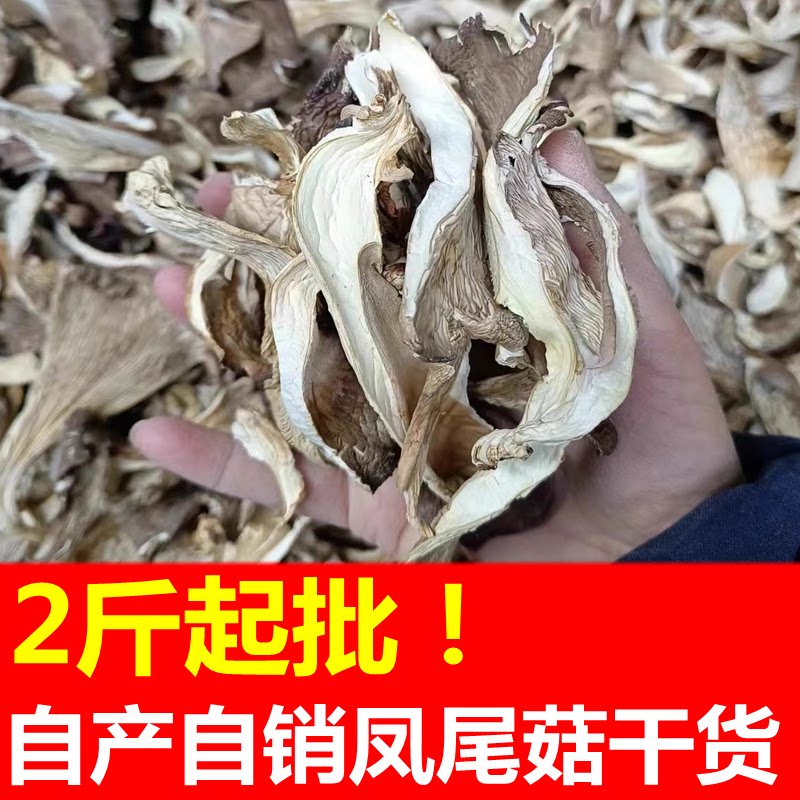云南产地直发凤尾菇菌子蘑菇干货农家人工种植食用菌干制晒烤干丝