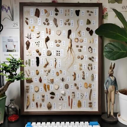中药材标本框中药标本画中医手工摆件装饰画标本展示框中草药文创