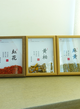 中医文创中药汤方标本中草药材单品展示装饰画摆件背景墙中医宣传