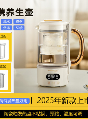 养生壶小型办公室一人多功能家用中药煎煮花茶烧水壶mini迷你电杯