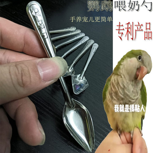 新款喂鸟勺新款喂鸟勺子