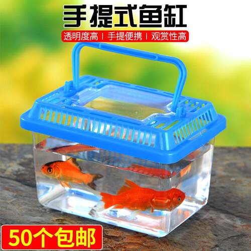 小号饲养缸塑料蝌蚪乌龟盒新款