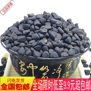 黑丑500g包邮姜良子白丑中药材牵牛子二丑野生选黑丑籽喇叭花种子