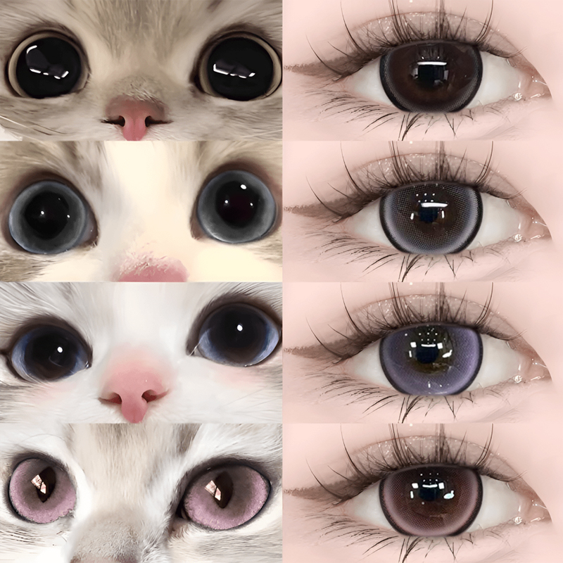 可乐珍宝珠美瞳半年抛黑色超大直径狗狗眼隐形眼镜女WF官方正品TN