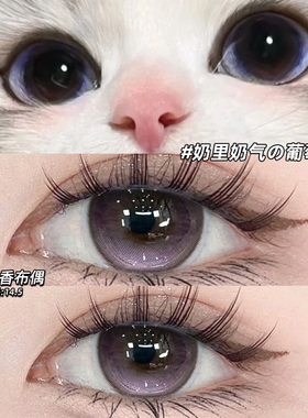 丁香布偶美瞳日抛30片紫色混血一次性带度数隐形眼镜WF官方正品TN