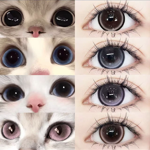 OVOLOOK蓝莓珍宝珠美瞳半年抛蓝色大直径彩色隐形眼镜官方正品5xx