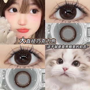 加薪定律美瞳半年抛咖棕色大小直径2025新款隐形眼镜LX官方正品TN
