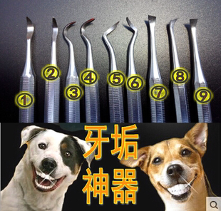 雪花牌动物狗狗牙结石工具 宠物去牙结石工具去除牙石牙垢 洁牙器