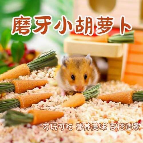 仓鼠磨牙棒零食金丝熊胡萝卜草莓兔子磨牙石草饼磨牙用品玩具造景