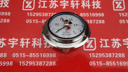 记忆压力表 留点压力表 双指针压力表耐震轴向带边压力表YN100ZT