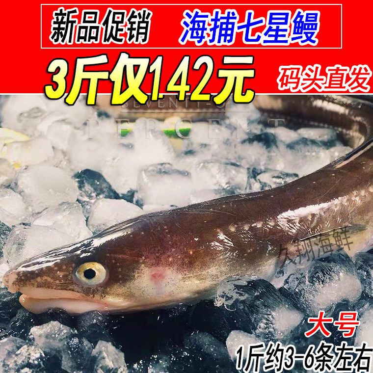 鲜活沙鳗鱼野生七星鳗鱼新鲜海鳗鱼3斤装海鳝鱼海鲜水产1斤3-6条