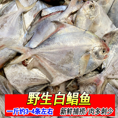 烧烤平鱼条质量怎么样？-烧烤平鱼条口碑怎么样？ - 小麦优选