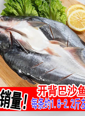 烤鱼专用眉公鱼1条1.8-2斤