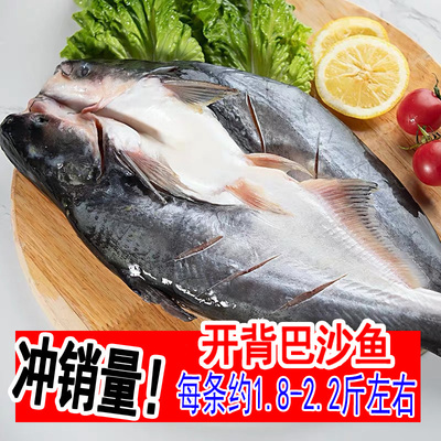 烤鱼专用眉公鱼1条1.8-2斤